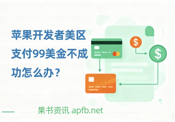 Apple Developer Program订阅年费付款失败，美国Apple Developer怎么付款成功？